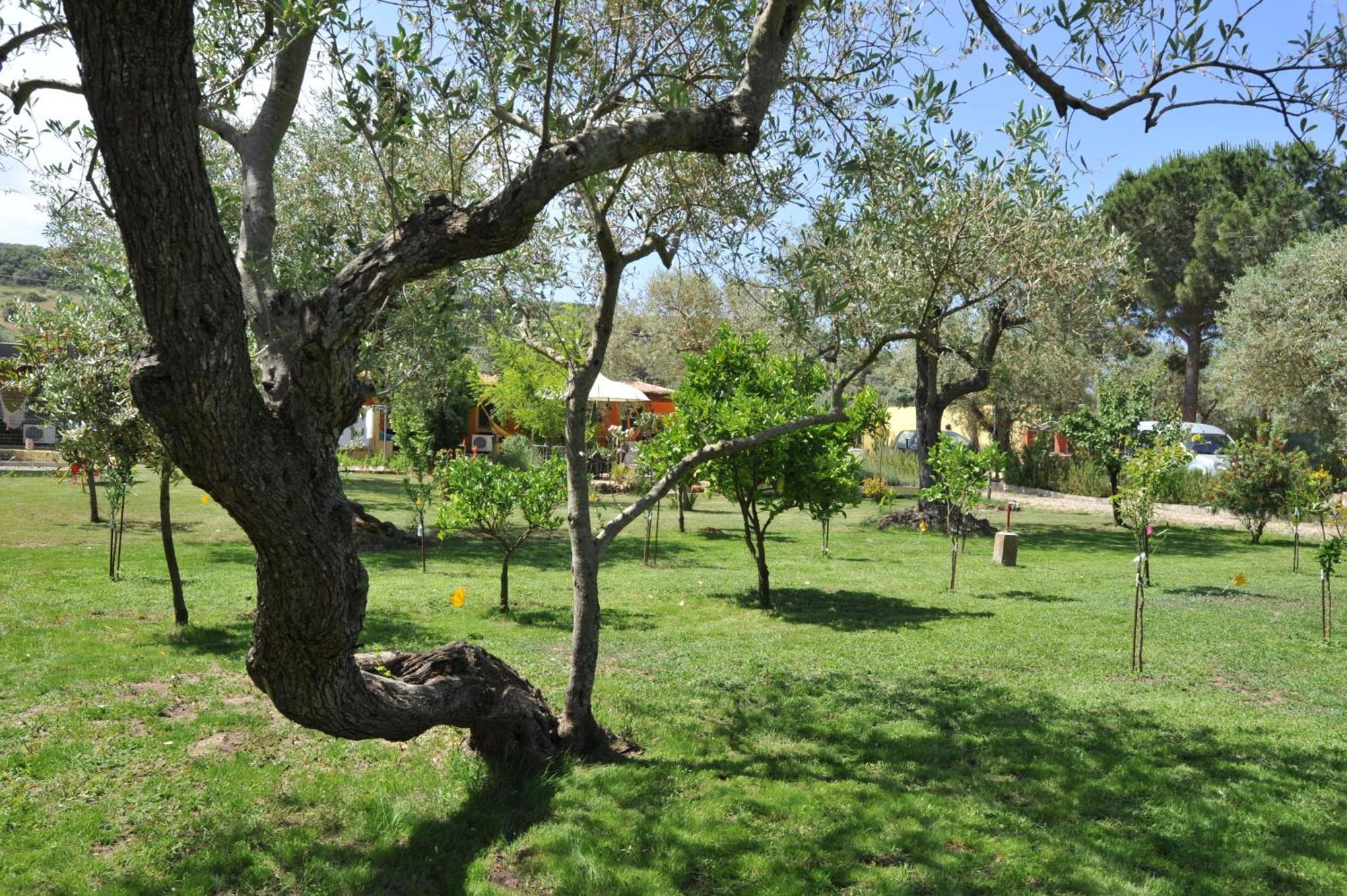 Butterfly House Bed & Breakfast Alghero Bagian luar foto