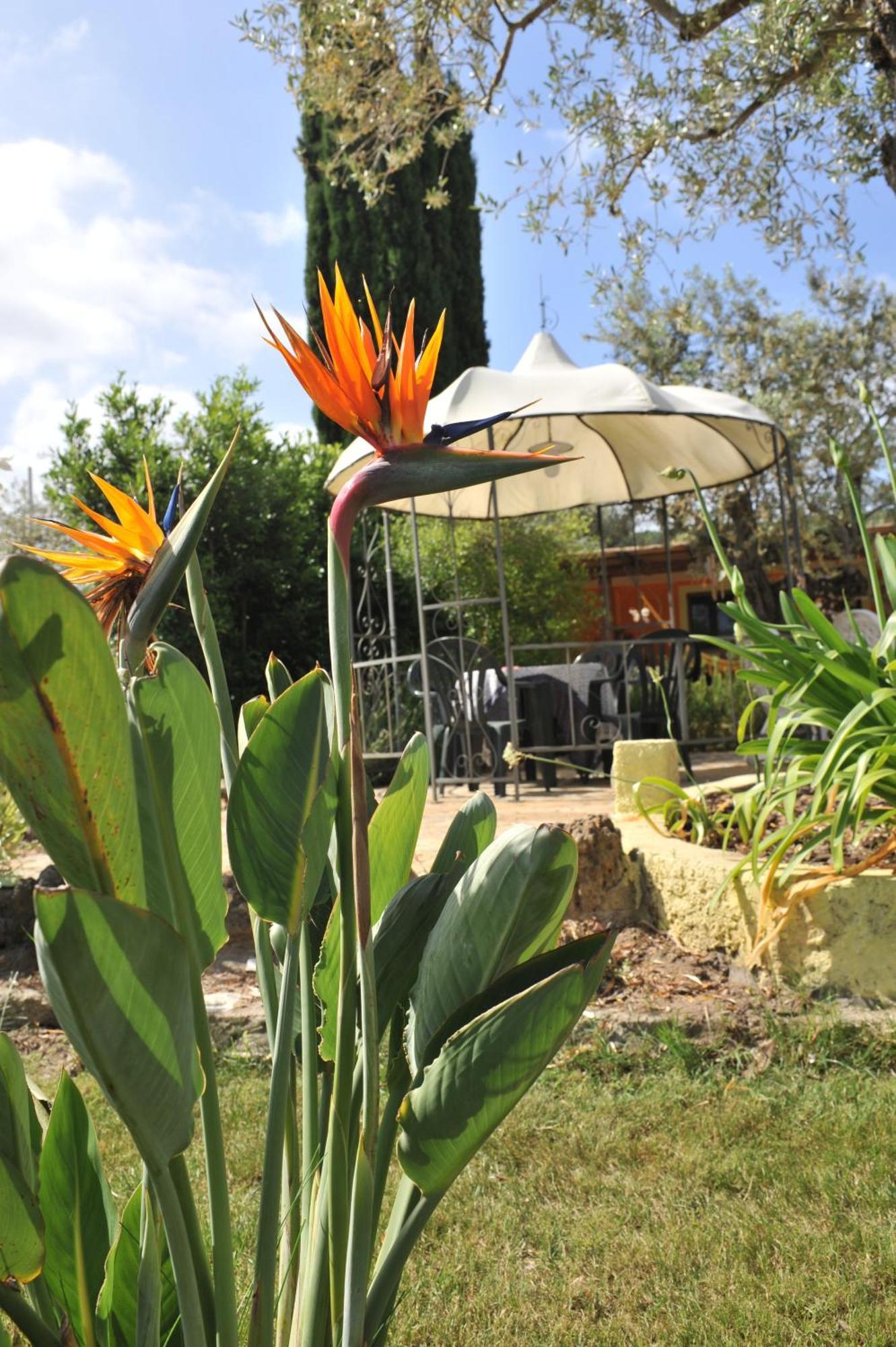 Butterfly House Bed & Breakfast Alghero Bagian luar foto